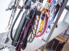 7619_VENA_2018_Interieur_0288